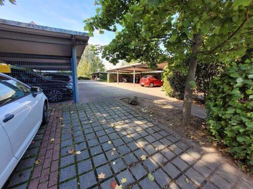 20250920_145605.jpg - 