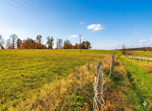 optionale Weidefläche - 