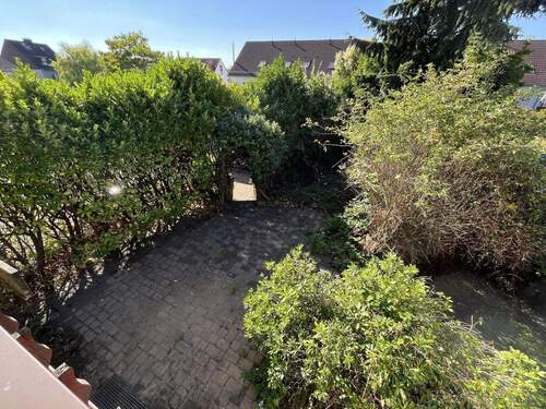 Blicken den Garten - 