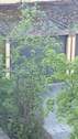 Garage - 