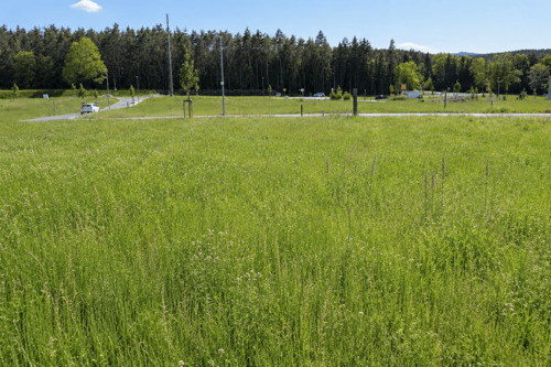Lavendelstr 7 - Grundstück zum Kaufen in Creußen