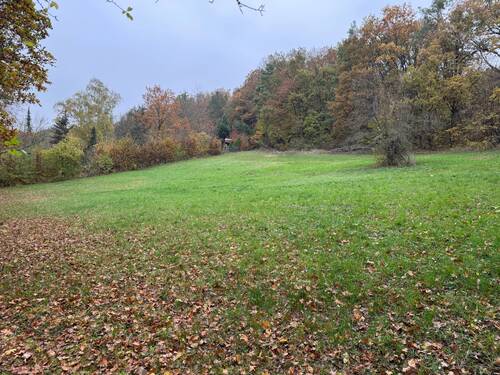 Bild 1 - Freizeitgrundstück in sonniger Südlage von Pettstadt am Distelberg