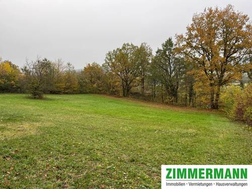 Bild 4 - Grundstück in Pettstadt zum Kaufen