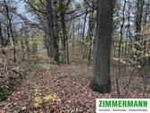 Bild 5 - 