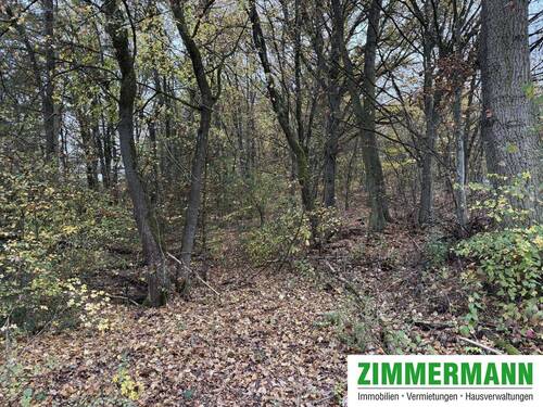 Bild 6 - 