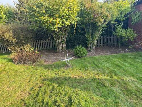 ....Gartenimpression - 