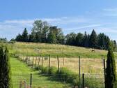 Idyllische Umgebung - 