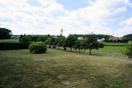 Straße und Zufahrt zum Grundstück (1) - 