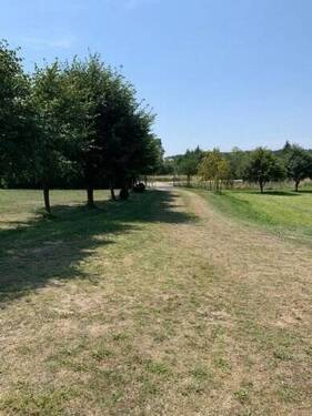 Auf dem Grundstück (7) - 