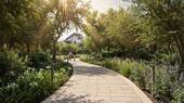 Forest Trail_Day View - 