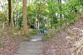 Zugang zum Bootsanleger - 