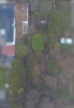 Aktuelles Luftbild II - 