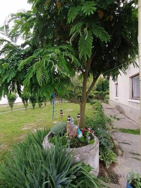 received_1710878065962212 - 