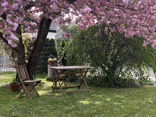 Garten - 