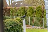 Detail Terrasse - 