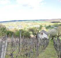 Naturnaher Weinberg mit Weinkeller zu verkaufen. - Zalacsány
