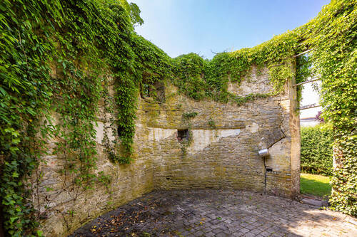 Windmühle - 