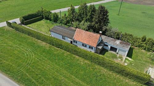 Bild 19 - 