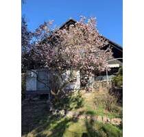 Provisionsfrei in Kladow - Freistehendes Haus mit Naturgarten, Photovoltaik für die Großfamilie - Berlin