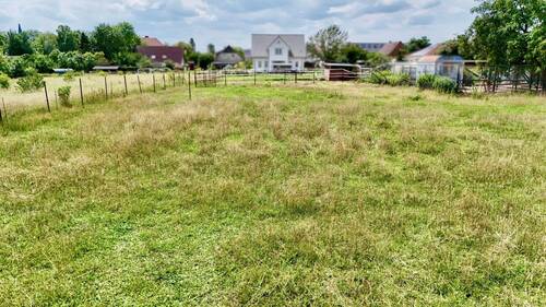 Grundstück - Grundstück in Hoppegarten zum Kaufen