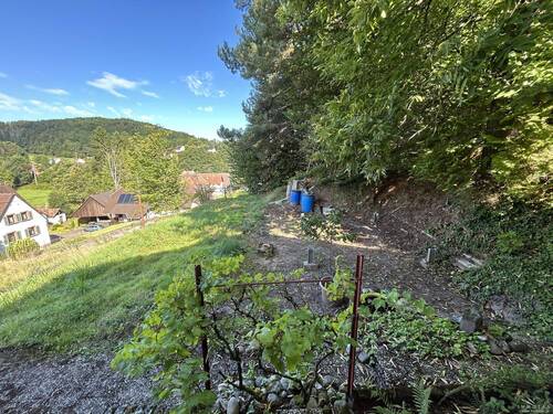 Garten - 