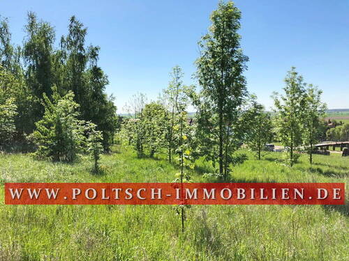 8cAnsicht4 - Grundstück in Hermsdorf zum Kaufen