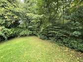 Waldblick - 