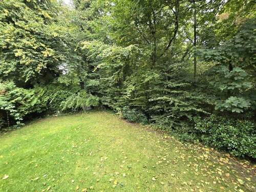 Waldblick - 