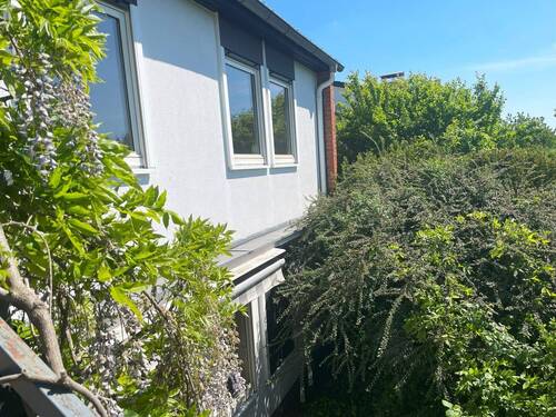 Detailaufnahme - 