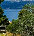 Umgebung mit Meerblick - 