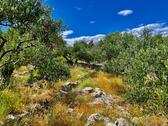 Umgebung mit Meerblick - Grundstück zum Kaufen in Brac