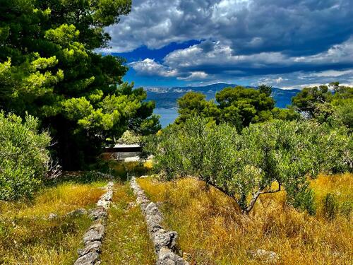 Umgebung mit Meerblick - Grundstück in Brac
