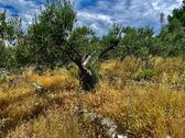 Umgebung mit Meerblick - Grundstück in Brac zum Kaufen