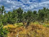 Umgebung mit Meerblick - 