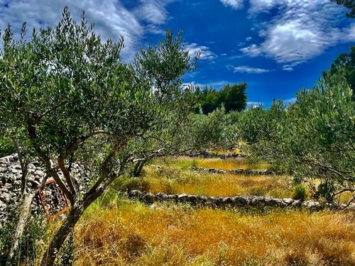 Umgebung mit Meerblick - 