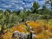 Umgebung mit Meerblick - 
