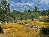 Umgebung mit Meerblick - 