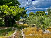 Umgebung mit Meerblick - 