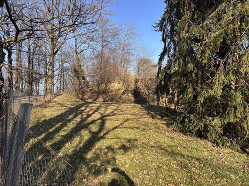 Parkähnlicher Garten - 