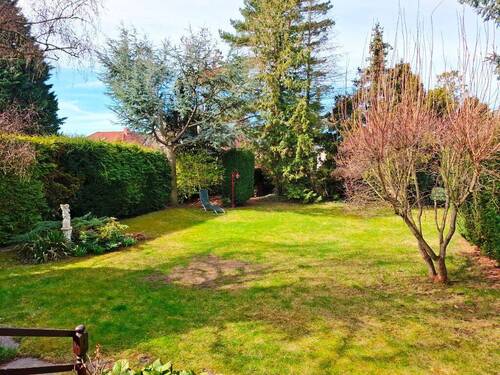 20260409_112127.jpg - 