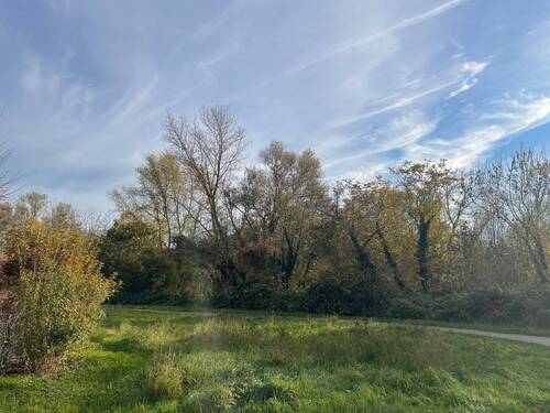 Hier geht es zur Maaraue! - 