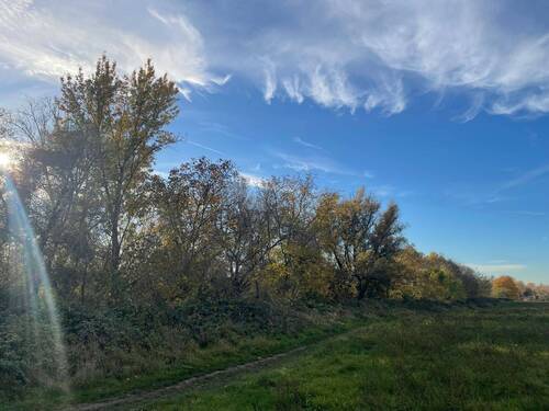 Hier geht es nach Mainz! - 