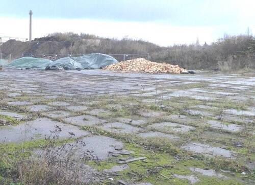 Grundstück Ansicht 1 - Grundstück zur Miete in Coswig