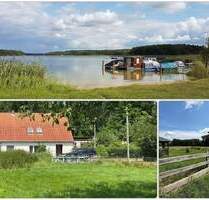 Altes Haus mit Wiesen unweit Gudelacksee bei Lindow - Lindow (Mark)