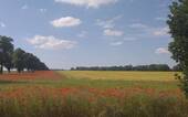 Umgebung - Grundstück in Fehrbellin