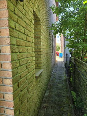 Ansicht rechte Seite - 2 Zimmer Einfamilienhaus in Bergisch Gladbach