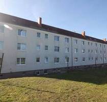 helle 3-Raum-Wohnung in ruhiger Lage WE007 - Döbeln Limmritz