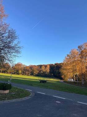 Ortseingang - Grundstück in Schiersfeld zum Kaufen
