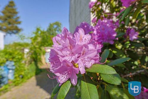 Blumig - 