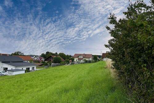 Schöne Hanglage - 
